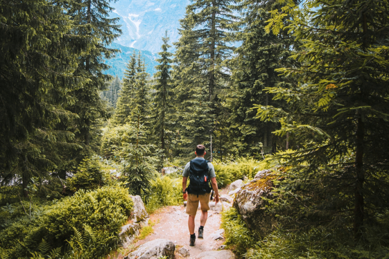 Camminata per la Pace Evento Passo Rolle 7 giugno