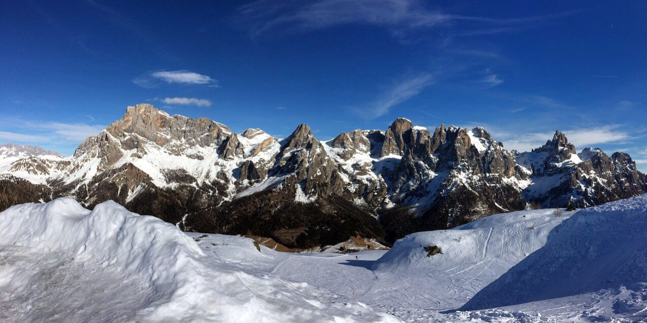 PaleDiSanMartino