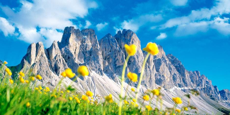 Primavera sulle Dolomiti Primavera sulle Dolomiti