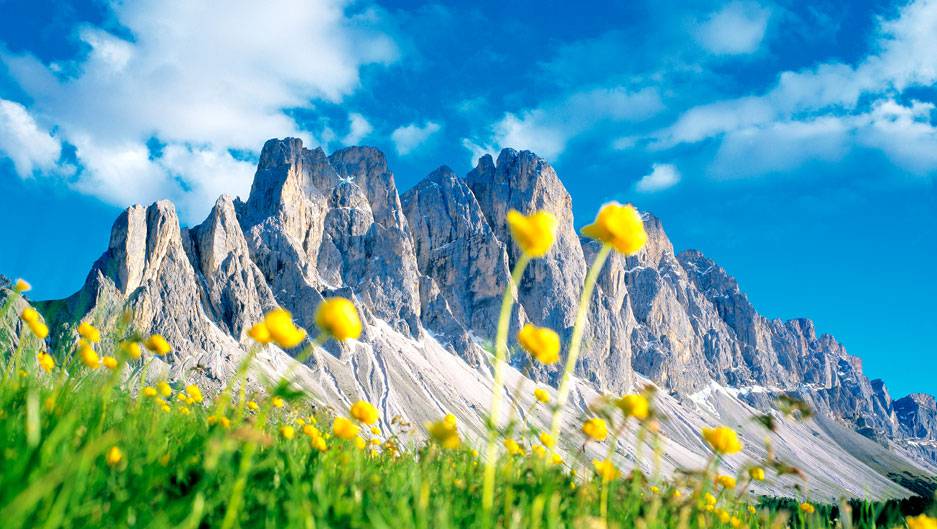 Primavera sulle Dolomiti