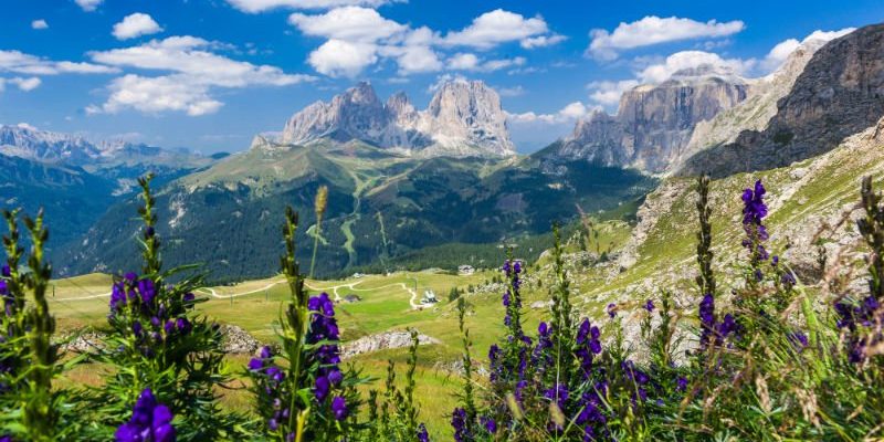 estate-sulle-dolomiti