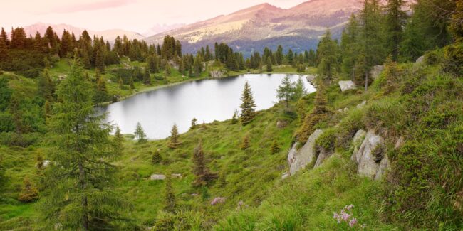 Parco Trek – Escursioni San Martino di Castrozza