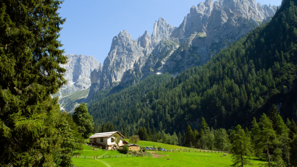 E-BIKE Tour Val Canali: la perla delle Dolomiti